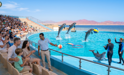 Delfin Show Hurghada - Adam Tours Csal&aacute;di Program.